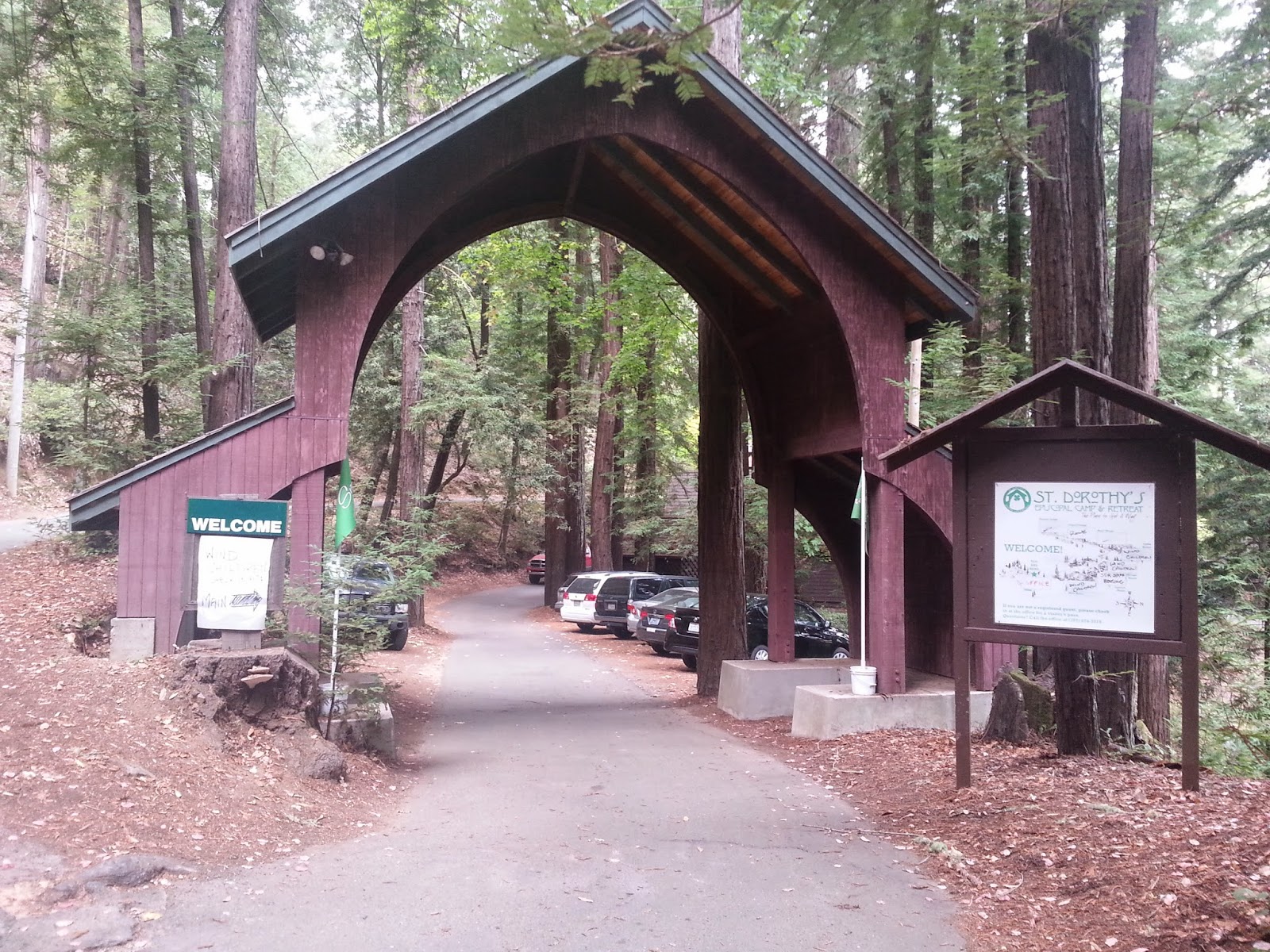 Gotta Start With a Dream